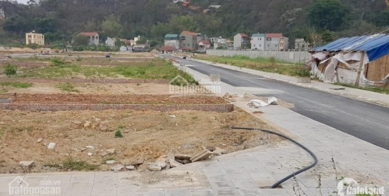 Bán Gấp 58m Đất Dịch Vụ Vân Canh Khu 125 ha, Hòa Đức Giá Tốt