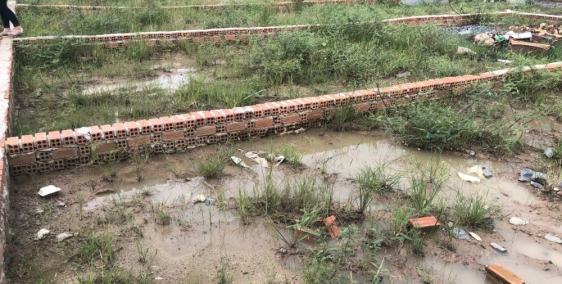 Bán đất trồng cây lâu năm 5 x 13 Kinh Trung Ương giá mềm 480 triệu