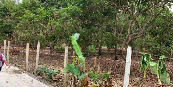 Bán đất nền gần khu công nghiệp suối tre Long Khánh