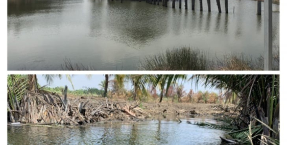 Bán đất nhà vườn ven sông gần Thành Phố Sài Gòn