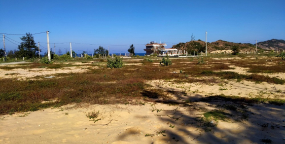 Đất Nền Có Tính Thanh Khoản Cao Nhất?- Kdc Hòa Lợi - Tại Sao Lại Như Vậy?