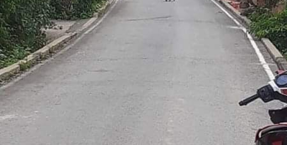 TÔI KẸT TIỀN BÁN NGAY MIẾNG ĐẤT ĐỊNH HÒA 760TR