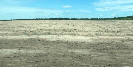 Cần bán gấp một số lô đất gần Trung tâm hành chính chơn thành