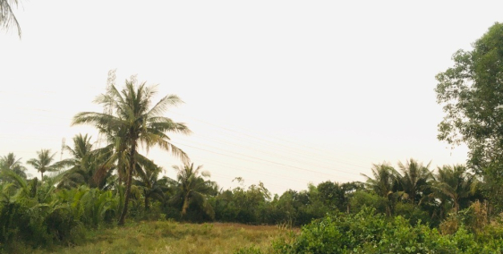 Đất Nhơn Trạch giá tốt, mặt tiền đường lớn và sát cụm KCN Ông Kèo