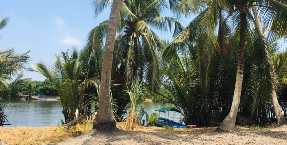 Bán đất nhà vườn Nhơn Trạch, mặt tiền sông lớn 100m, giá tốt 1,7 tỷ trọn sổ