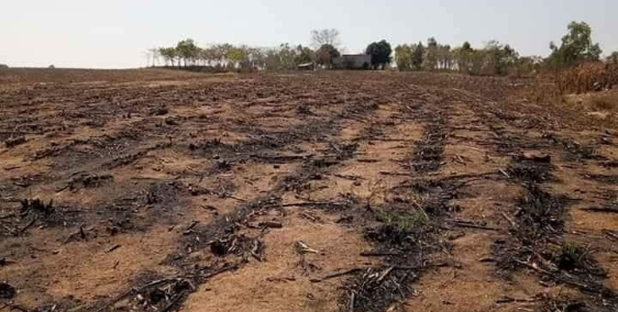 Bán đất rẫy sổ nông nghiệp 8.2ha