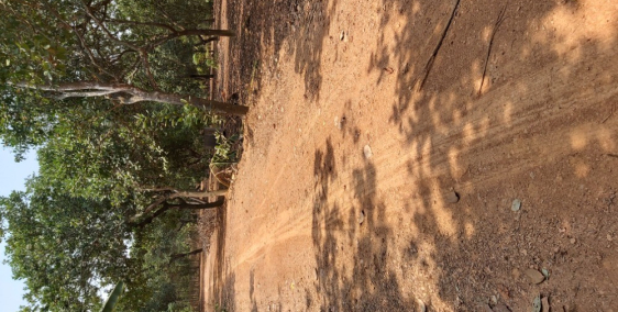 Bán gấp hơn 5,5 sào đất đỏ Gia Ui