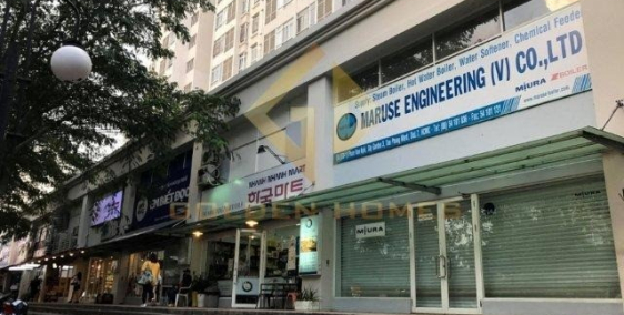 Cho thuê nguyên căn shop Parkview đường Nguyễn Đức Cảnh, Đường 10 tây TP HCM