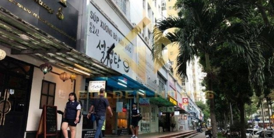 Cho thuê nguyên căn Shop Hưng Vượng 2 đường Lê Văn Thêm, Phú mỹ hưng  TP HCM