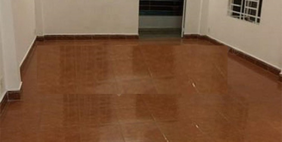 Cho thuê nhà nguyên căn khu sân Bay, P2 Q. TB giá 23tr