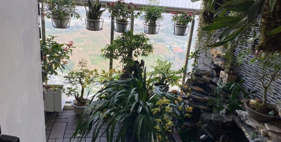 Chung cư giá tốt nhất Hà Đông, ban công cực kì rộng rãi, view đẹp nhất