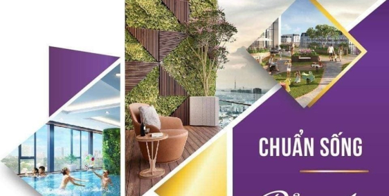 Bán căn hộ chung cư the terra an hưng, tố hữu , hà đông