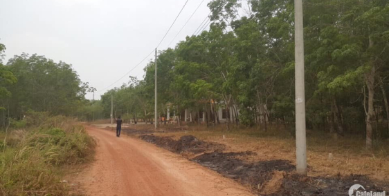 đất nền dầu tiếng xã minh hòa - sổ hồng riêng