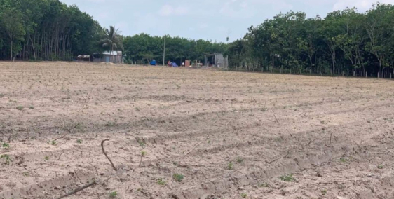 Vợ ngoại tình cần bán lô đất chia tài sản Dầu Tiếng Bình Dương (350TR