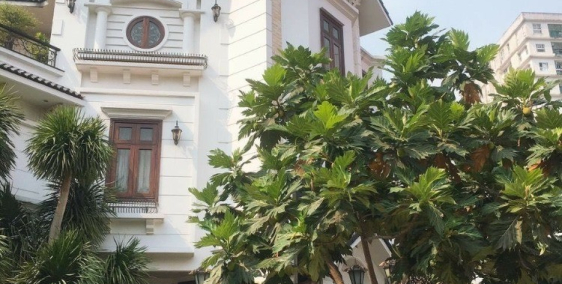 Bán biệt thự MTKD  Lê Thúc Hoạch P.Tân Quý Q.Tân Phú DT 9x16  4 Lầu Gía 32tỷ TL