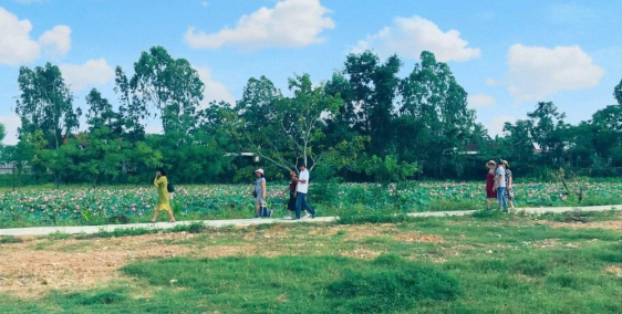 đất view hồ sen, rất thích hợp cho đầu tư