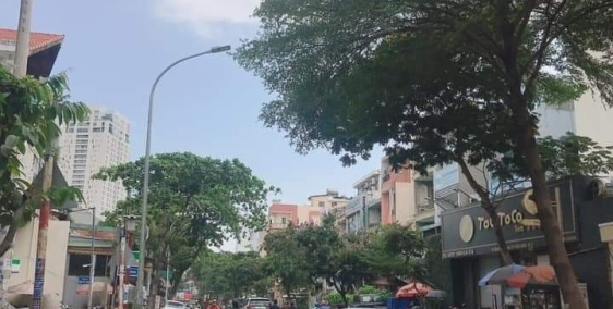 Căn nhà Cấp 4 rộng 90m2, P Thảo Điền, Q2. Giá 8,3 tỷ.