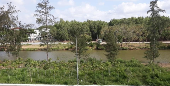 Mua shophouse nhận ngay view đẹp trung tâm TP mà chỉ có 14tr/m2