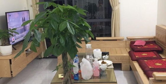 Cho thuê chung cư Rice Sông Hồng Gia Quất Long Biên.2 ngủ 2 vệ sinh.S:70m2.