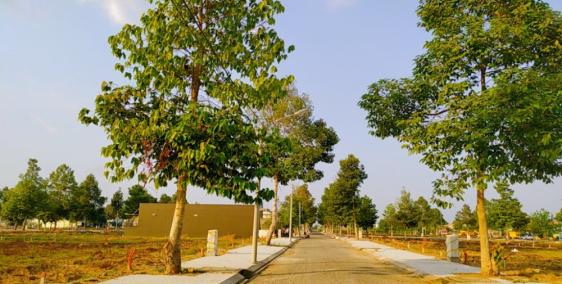 Bán nền thổ cư liền kề cao ốc thương mại, công viên