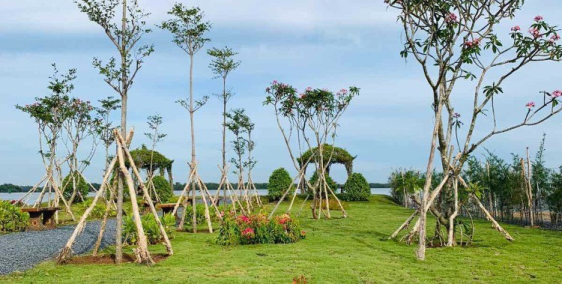 Mở bán đất nền sổ đỏ đất cảng với 1,3 tỷ - Full bảng giá CĐT - Thanh toán 24th