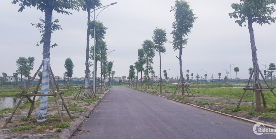 200m2 đất biệt thự b2.2 của kđt thanh hà chính chủ cần bán, giá gốc 15tr