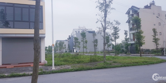 Bán đất liền kề góc 137m2 đường 17m khu B1.4 LK32 1 Thanh Hà Cienco 5 giá gốc 20