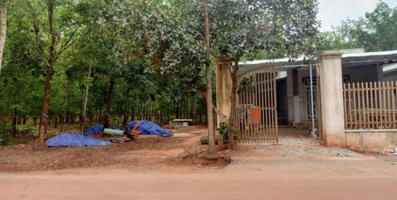 Cần bán lô đất Dầu Tiếng, Bình Dương 15x67 nở hậu giá thương lượng,