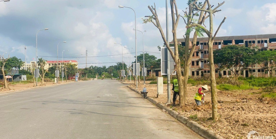 Mở bán dự án được mong chờ nhất Hải Phòng, giải quyết cơn khát dất nền tại thành