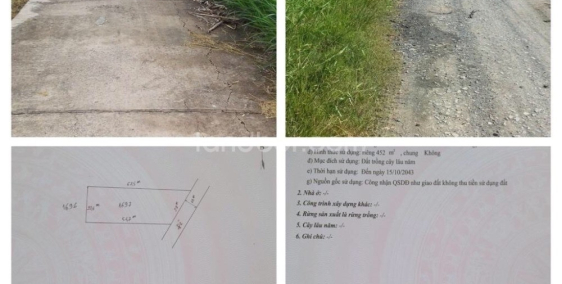 170 triệu/1000m2 Đất nông nghiệp xã Tân Điền, huyện Gò Công Đông.