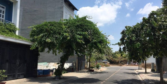 Có 480 triệu đầu tư ngay đất nền GD1 đã có sổ đỏ? sinh lời gấp 3