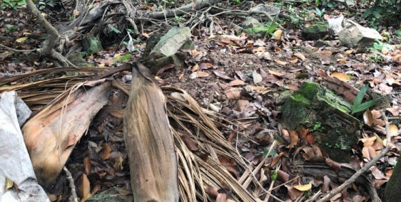 33,5m2 đất thổ cư xã kim chung, hoài đức giá 938 triệu