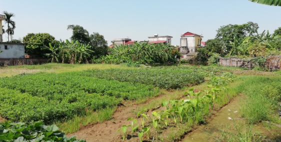 Bán Gấp 1252m² Đất Thôn Mạc Xá, Minh Tân, Nam Sách