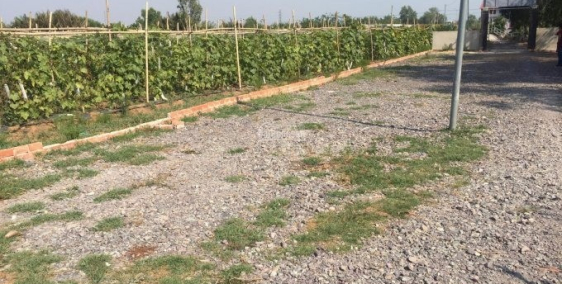 bán đất làm nhà vườn, nước hồ trong vắt, Phạm Thái Bường, xã Phước Khánh, h Nhơn