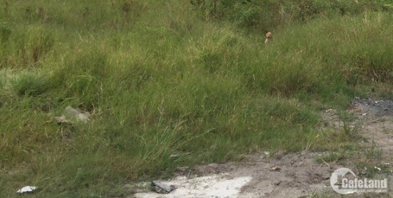 960 triệu đất xã Phước Khánh 1 sào gần khu công nghiệp ông Kèo, huyện Nhơn Trạch