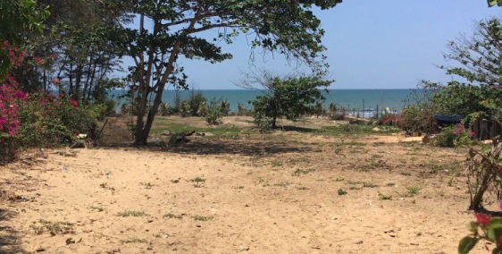 Bán lô đất 800m2 mặt tiền biển Mũi Né sau chợ Hàm Tiến 25tr/m2 0966 52 45 52