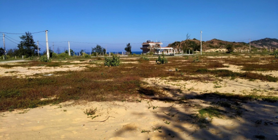 Đất nền sổ đỏ ven biển giá đầu tư hấp dẫn nhất hiện nay chỉ 7.5 triệu/m
