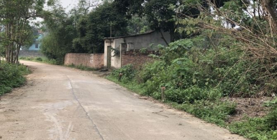 Đất Nền Xã Hướng Đạo, KCN Tam Dương 3587m²