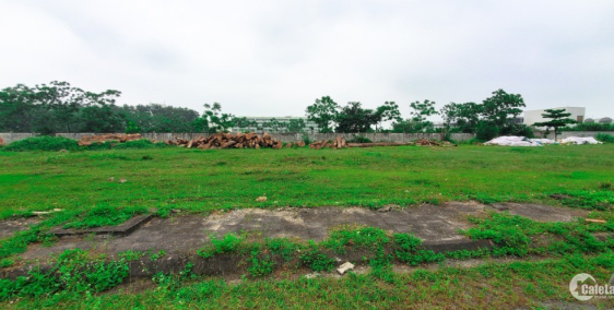 Bán đất Thạch Thất ở cụm công nghiêp – 2 mặt tiền rộng 10m