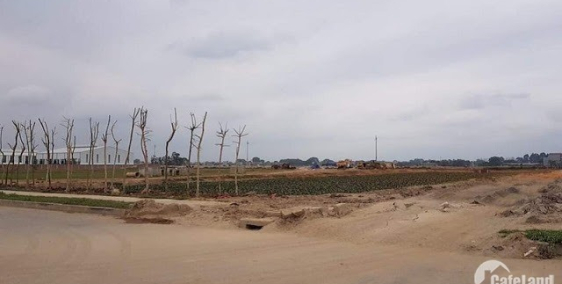 Đầu tư đất nền siêu hiếm lợi nhuận cao mà vốn đầu tư nhỏ