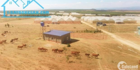 Nam Á Garden Đất vàng du lịch Bình Thuận giá chỉ từ 60k/m2