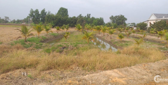 ĐẤT RUỘNG LONG AN SHR CẦN BÁN MẶT TIỀN ĐƯỜNG DT 830