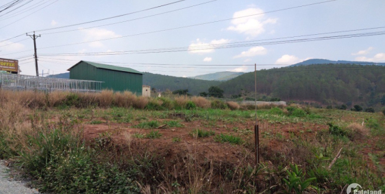 Cần bán đất mặt tiền xã Tà Nung Đà Lạt giá siêu rẻ có giá trị đầu tư cao.