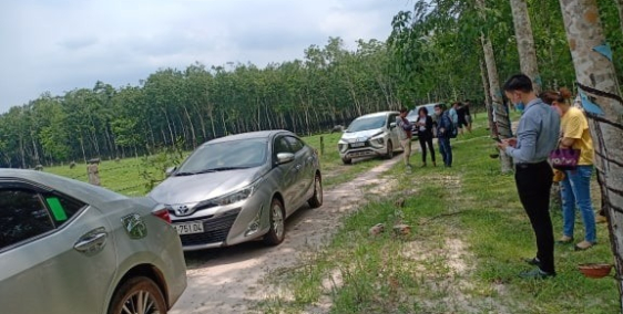 bán đất huyện dầu tiếng xã định an giá rẻ