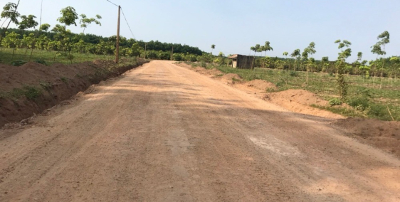 Vườn cao su non 2 mặt tiền - hẻm DH507, xã Tiến Hưng, Đồng Xoài