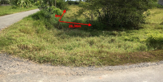 BÁN ĐẤT 2 MẶT TIỀN, SHR Chính chủ tại Bình Chánh, TP.HCM