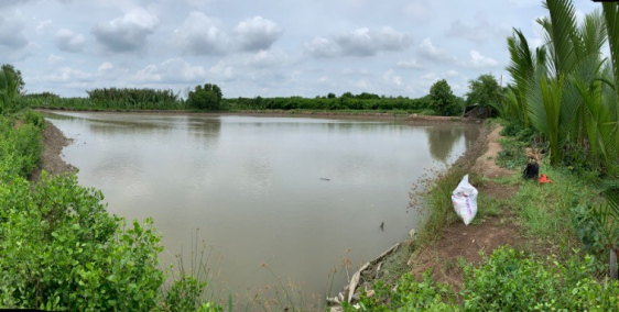 Cần bán gấp đất nuôi trồng thuỷ sản, đất nông nghiệp.