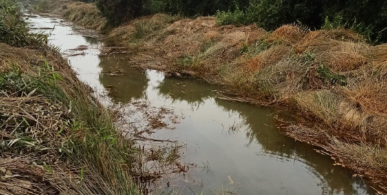 Bán nhanh lô đất Xã Phước Khánh - NT - ĐN chỉ 650 triệu 1000m2