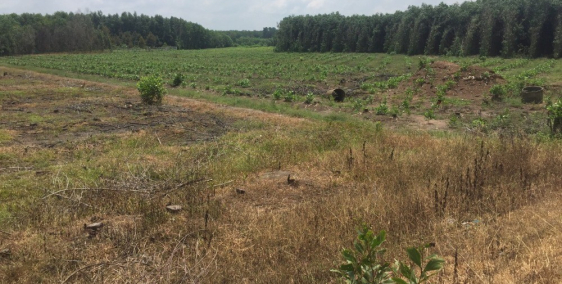 đất sinh lời cao, mặt tiền đường liên cảng Cát Lái, xã Phước Khánh, Nhơn Trạch