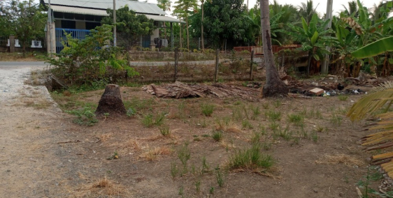 Cần bán 1000m2 đất ở Quận 9 chính chủ